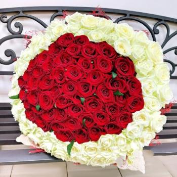 Букет 101 красно-белая роза артикул букета  202101tum