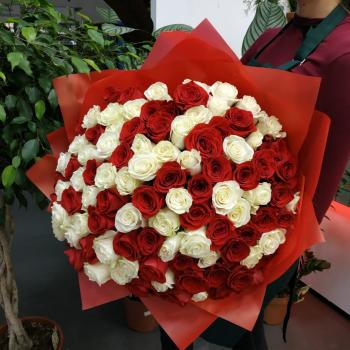 Букет Букет из 101 розы (красные и белые розы) [код товара - 117921tum]