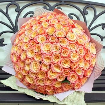 Букет Оранжевые розы Эквадор 101 шт (50 см) код товара: 206034tum
