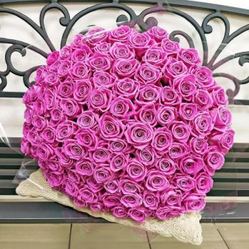 Букет Розовые розы Эквадор 101 шт (50 см) [артикул букета  205896]